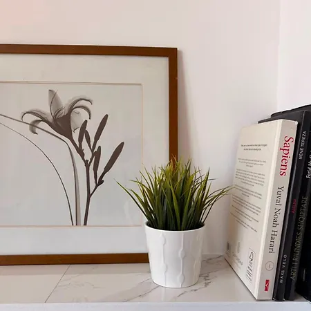 Bora Apartment Tirana
